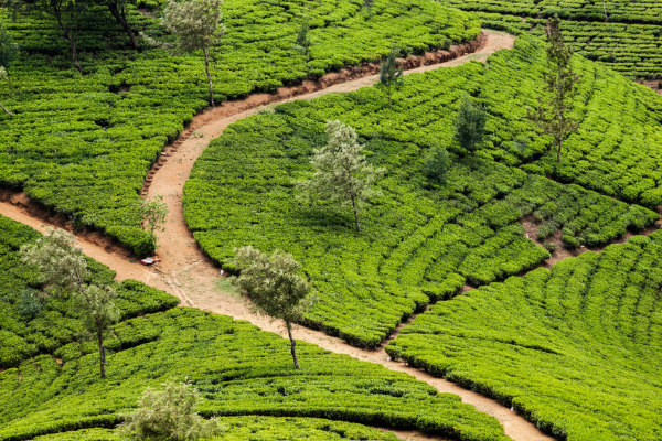 KTM Travels