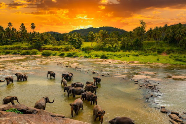 KTM Travels
